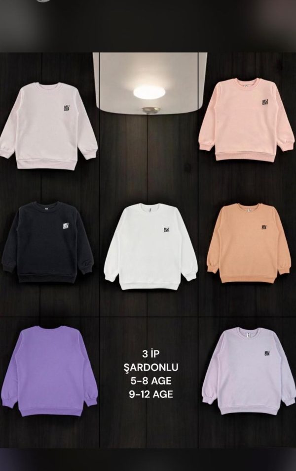 Sweatshirt
