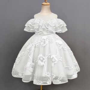 Embroidery Dress